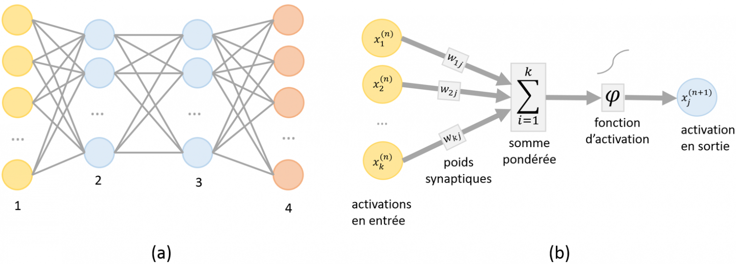 Principe du réseau de neurones