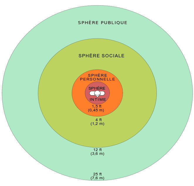 Représentation des distances composant l'espace personnel