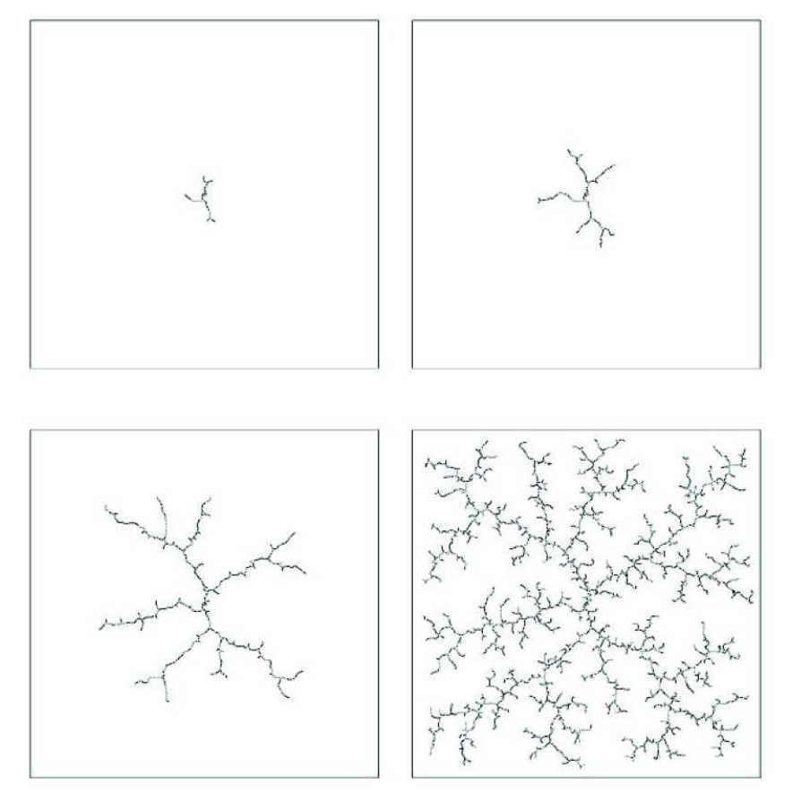 Étapes successives de construction de l'arbre de recherche dans l'espace des configurations du système robotique